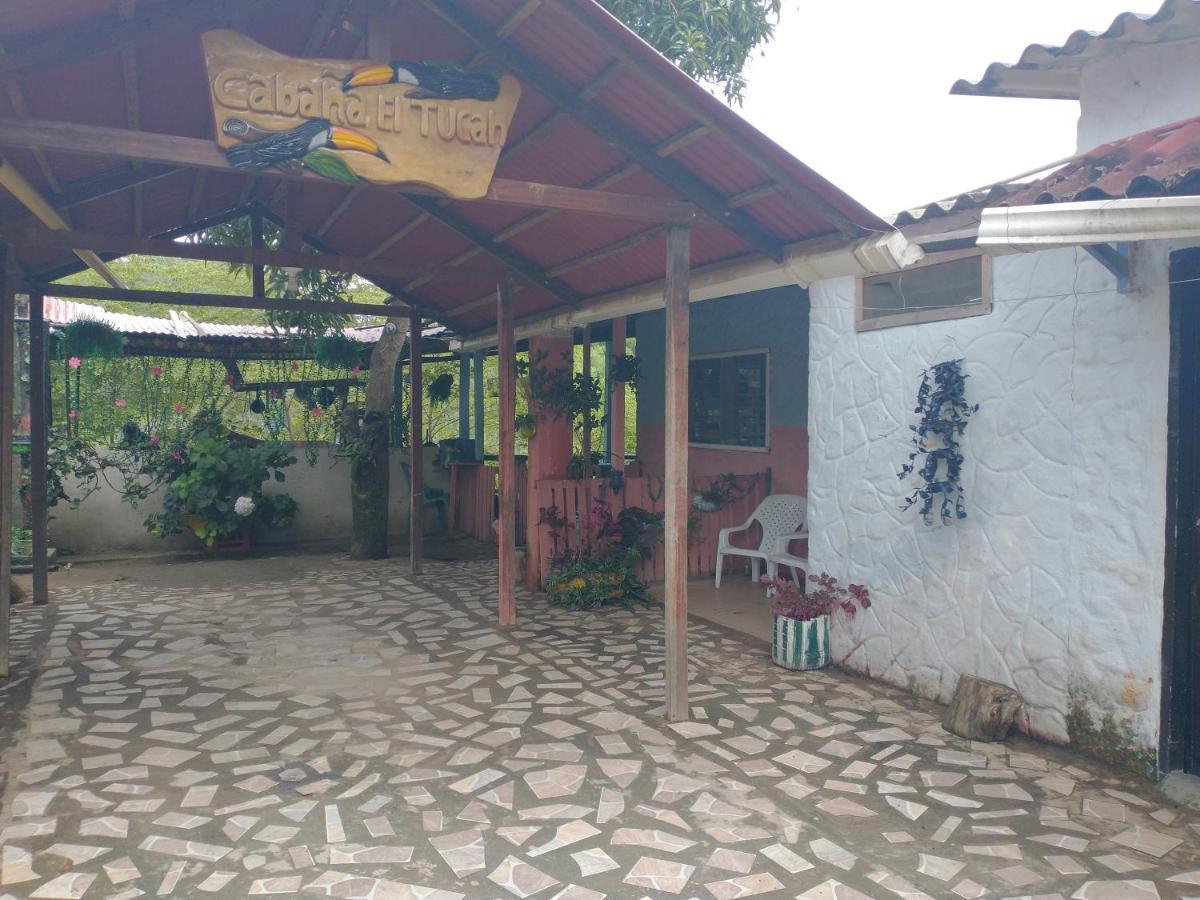 Cabana El Tucan Minca Bagian luar foto